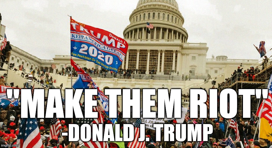 He knew what he was doing inciting those seditious traitors | "MAKE THEM RIOT"; -DONALD J. TRUMP | image tagged in the january 6th insurrection,donald trump,guilty,sedition | made w/ Imgflip meme maker