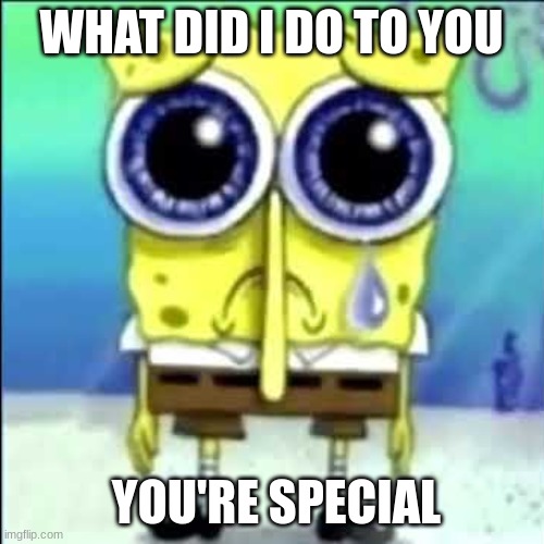 Sad Spongebob | WHAT DID I DO TO YOU YOU'RE SPECIAL | image tagged in sad spongebob | made w/ Imgflip meme maker