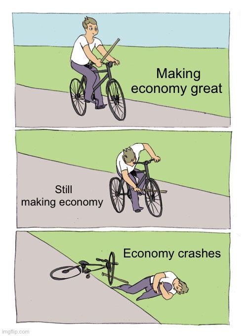 Memes | Making economy great; Still making economy; Economy crashes | image tagged in memes,bike fall | made w/ Imgflip meme maker