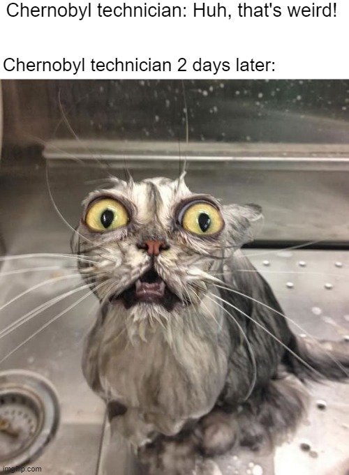 Are you going to Chernobyl? | Chernobyl technician: Huh, that's weird! Chernobyl technician 2 days later: | image tagged in wet scary cat,memes,funny | made w/ Imgflip meme maker