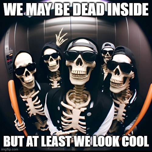 dead inside | WE MAY BE DEAD INSIDE; BUT AT LEAST WE LOOK COOL | image tagged in memes | made w/ Imgflip meme maker