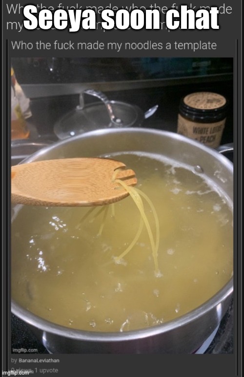who the fuck made who the fuck made my noodle a template a templ | Seeya soon chat | image tagged in who the fuck made who the fuck made my noodle a template a templ | made w/ Imgflip meme maker