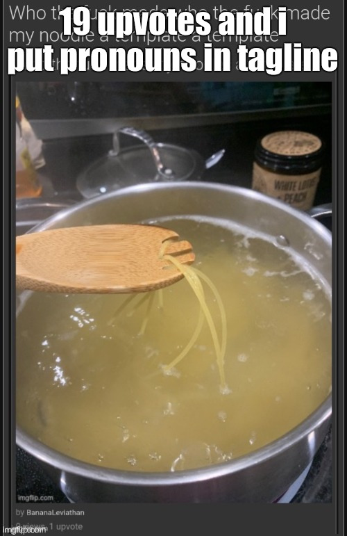who the fuck made who the fuck made my noodle a template a templ | 19 upvotes and i put pronouns in tagline | image tagged in who the fuck made who the fuck made my noodle a template a templ | made w/ Imgflip meme maker