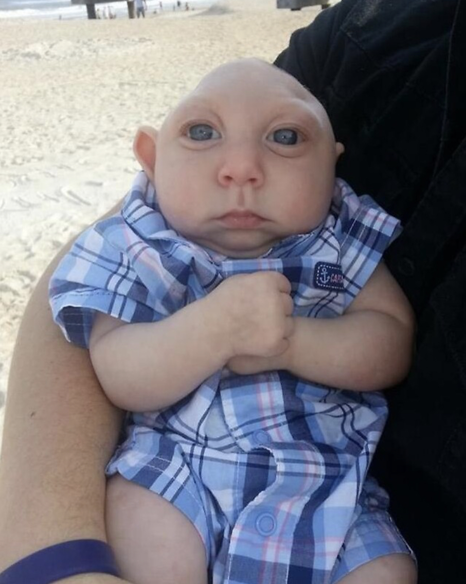 High Quality Jank Boteko Blank Meme Template