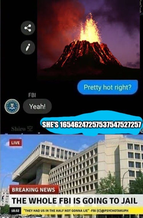 The whole FBI is going to jail | SHE'S 16546247257537547527257 | image tagged in the whole fbi is going to jail | made w/ Imgflip meme maker