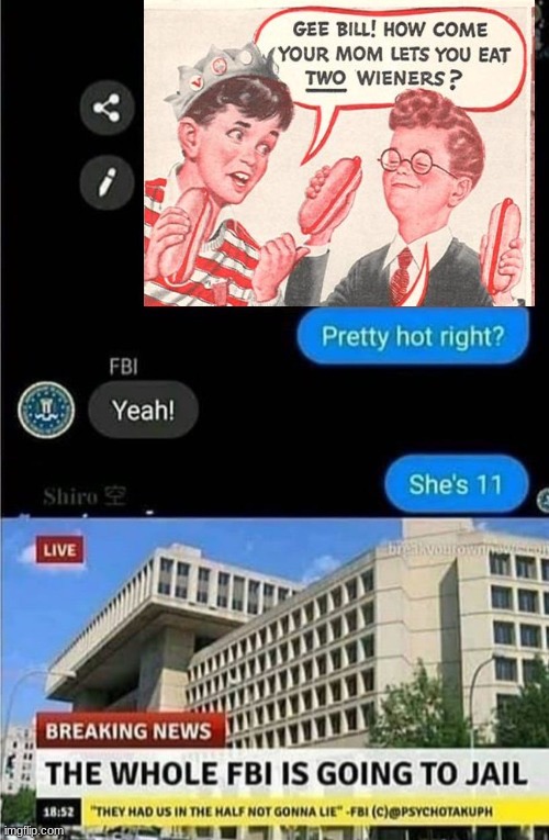 The whole FBI is going to jail | image tagged in the whole fbi is going to jail | made w/ Imgflip meme maker