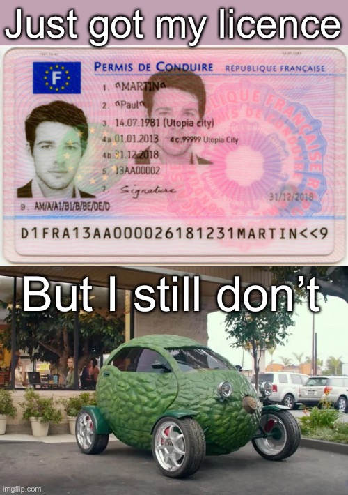 Licence | Just got my licence; But I still don’t | image tagged in fake licence,licence,car,avocado | made w/ Imgflip meme maker