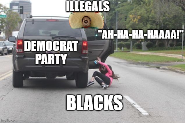 Kicked Out of Car | ILLEGALS; "AH-HA-HA-HAAAA!"; DEMOCRAT PARTY; BLACKS | image tagged in kicked out of car | made w/ Imgflip meme maker