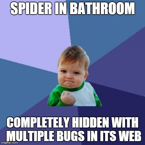 Success Kid | SPIDER IN BATHROOM COMPLETELY HIDDEN WITH MULTIPLE BUGS IN ITS WEB | image tagged in memes,success kid,AdviceAnimals | made w/ Imgflip meme maker