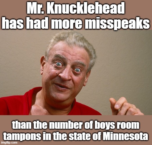 Mr. Knucklehead | Mr. Knucklehead has had more misspeaks; than the number of boys room tampons in the state of Minnesota | image tagged in rodney dangerfield,knucklehead | made w/ Imgflip meme maker