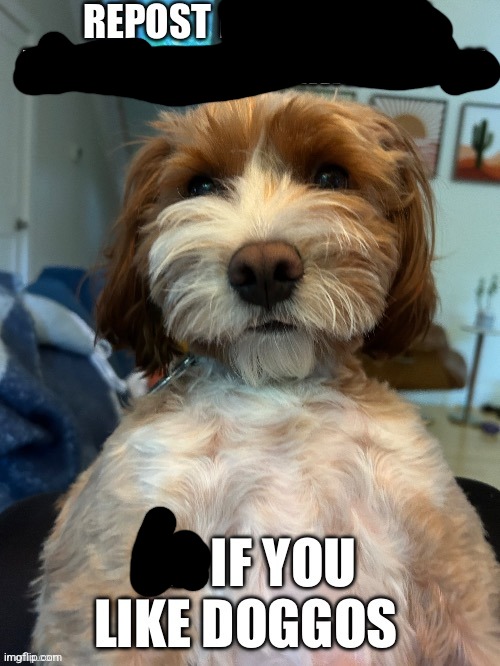 disgusting temp name btw | made w/ Imgflip meme maker