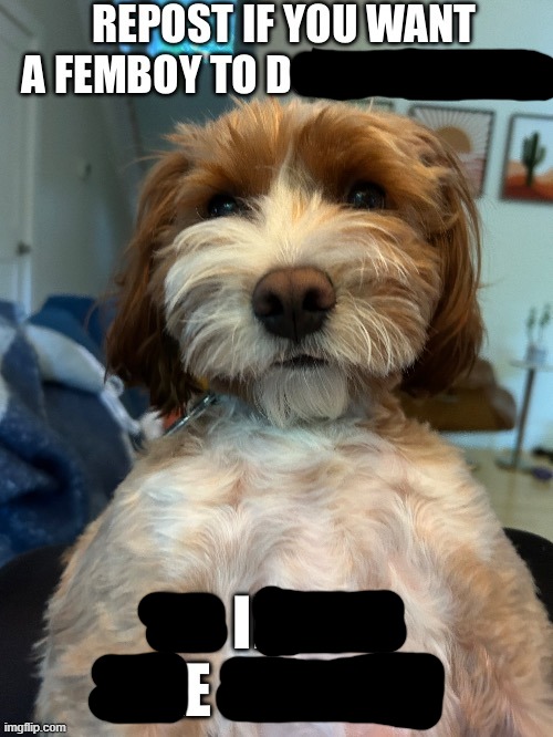 calm down MSMG, its called dark humor | made w/ Imgflip meme maker