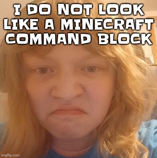 Istg | I DO NOT LOOK LIKE A MINECRAFT COMMAND BLOCK | made w/ Imgflip meme maker