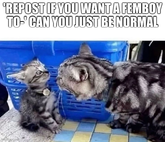 LOCK THE FUCK IN!!!!!!!! | 'REPOST IF YOU WANT A FEMBOY TO-' CAN YOU JUST BE NORMAL | image tagged in lock the fuck in | made w/ Imgflip meme maker
