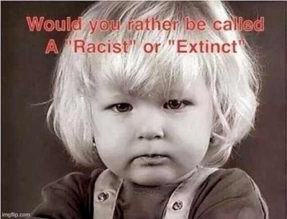 Racist | image tagged in racist,extinct,leftists,race card,overused,we do not choose our skin color | made w/ Imgflip meme maker