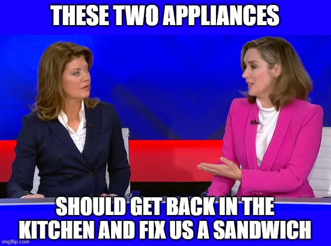 THESE TWO APPLIANCES; SHOULD GET BACK IN THE KITCHEN AND FIX US A SANDWICH | made w/ Imgflip meme maker