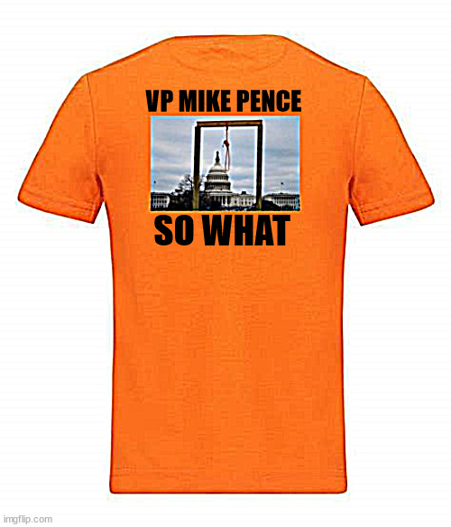 SO WHAT | VP MIKE PENCE; SO WHAT | image tagged in so what,jan 6th maga merch,hang mike pence,attemted murder,insurrection,coup | made w/ Imgflip meme maker