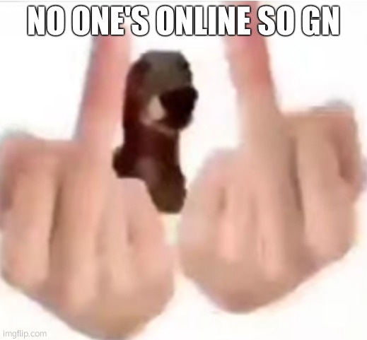 fuck you | NO ONE'S ONLINE SO GN | image tagged in fuck you | made w/ Imgflip meme maker
