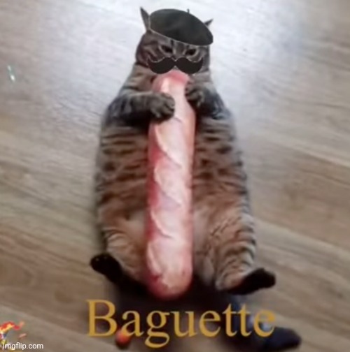 Oui oui mf | image tagged in baguette cat | made w/ Imgflip meme maker