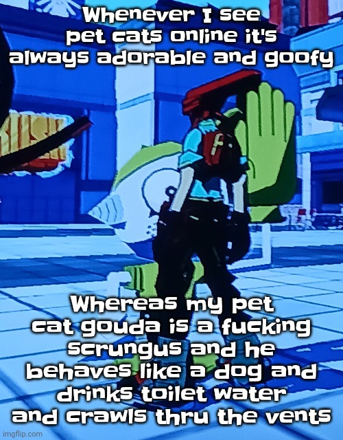Bomb rush cyberfreak | Whenever I see pet cats online it's always adorable and goofy; Whereas my pet cat gouda is a fu​cking scrungus and he behaves like a dog and drinks toilet water and crawls thru the vents | image tagged in bomb rush cyberfreak | made w/ Imgflip meme maker