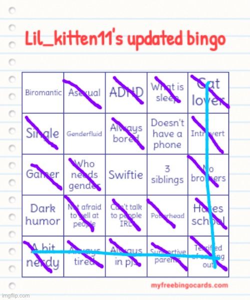 Hmmmm we are very similar indeed | image tagged in lil_kitten11's updated bingo | made w/ Imgflip meme maker