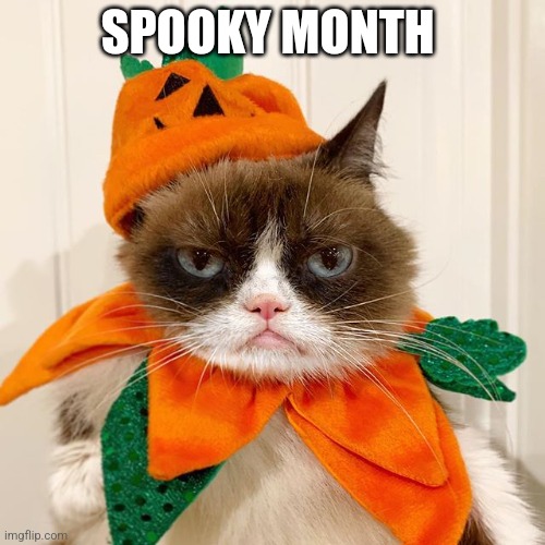 Grumpy Cat Halloween | SPOOKY MONTH | image tagged in grumpy cat halloween | made w/ Imgflip meme maker