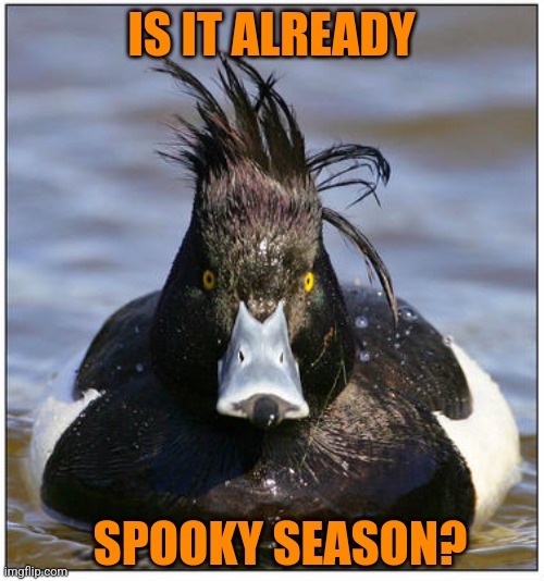 THE DUCK IS SHOCKED | IS IT ALREADY; SPOOKY SEASON? | image tagged in duck,ducks,spooky month | made w/ Imgflip meme maker