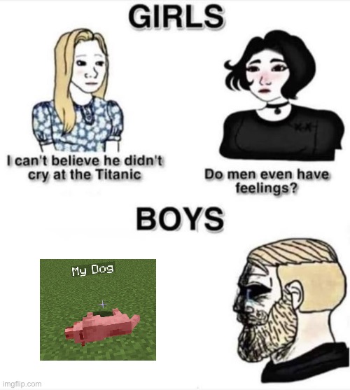 I swear to kill all enderman because one killed my dog | image tagged in do men even have feelings | made w/ Imgflip meme maker