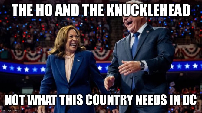 Kamala Harris and Tim Walz | THE HO AND THE KNUCKLEHEAD; NOT WHAT THIS COUNTRY NEEDS IN DC | image tagged in kamala harris and tim walz | made w/ Imgflip meme maker