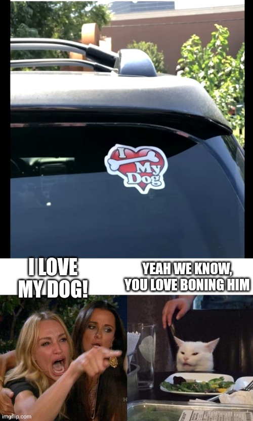 SHE BONES HER DOG | YEAH WE KNOW, YOU LOVE BONING HIM; I LOVE MY DOG! | image tagged in memes,woman yelling at cat,dog,fail,bumper sticker | made w/ Imgflip meme maker