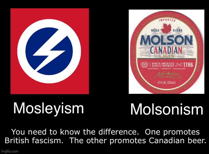 blank black | Molsonism; Mosleyism; You need to know the difference.  One promotes British fascism.  The other promotes Canadian beer. | image tagged in blank black | made w/ Imgflip meme maker