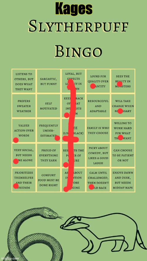 Kages SlytherPuff Bingo | image tagged in kages slytherpuff bingo | made w/ Imgflip meme maker