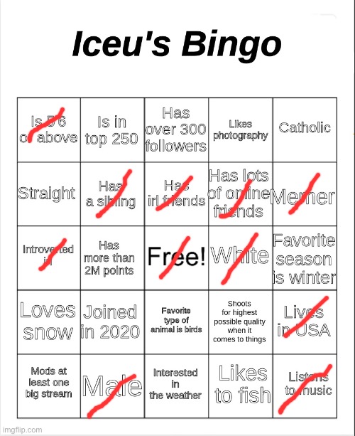 Iceu's Bingo | image tagged in iceu's bingo | made w/ Imgflip meme maker
