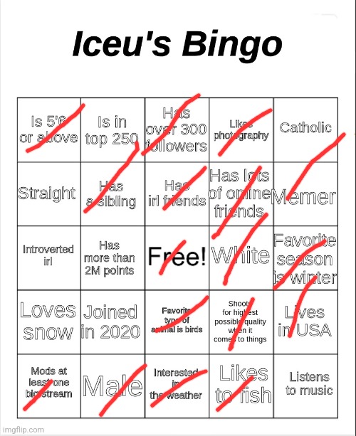 Iceu's Bingo | image tagged in iceu's bingo | made w/ Imgflip meme maker