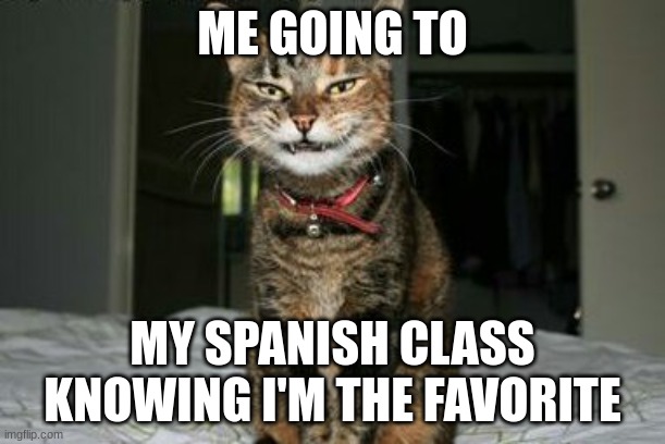 Evil Smile Cat | ME GOING TO; MY SPANISH CLASS KNOWING I'M THE FAVORITE | image tagged in evil smile cat | made w/ Imgflip meme maker