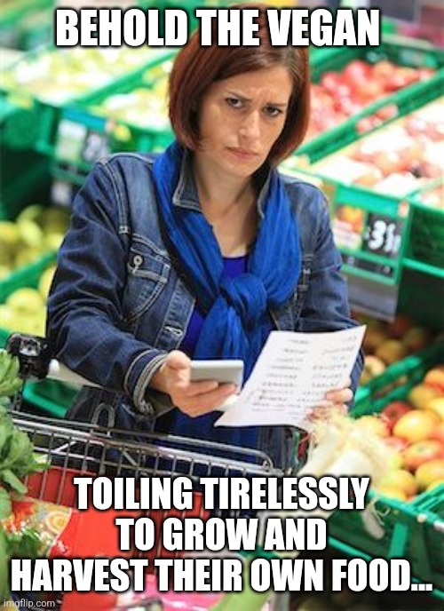 Grocery Shopping | BEHOLD THE VEGAN; TOILING TIRELESSLY TO GROW AND HARVEST THEIR OWN FOOD... | image tagged in grocery shopping | made w/ Imgflip meme maker