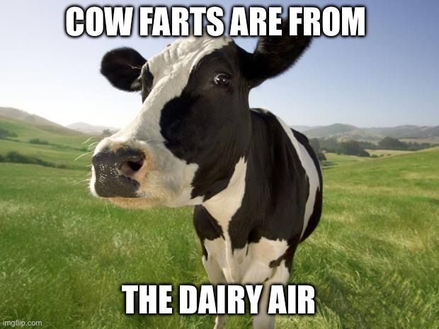 Cows with gas | COW FARTS ARE FROM; THE DAIRY AIR | image tagged in cow,fart joke,fart,cows | made w/ Imgflip meme maker