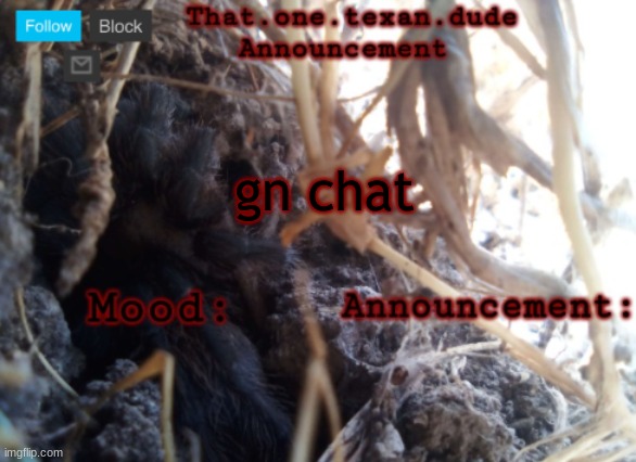 THE that.one.texan.dude announcement template | gn chat | image tagged in the that one texan dude announcement template | made w/ Imgflip meme maker