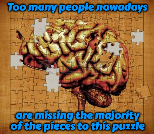 Missing Brains | Too many people nowadays; are missing the majority of the pieces to this puzzle | image tagged in memes,funny,truth hurts,brainwashed,robotic puppets,illuminatools | made w/ Imgflip meme maker