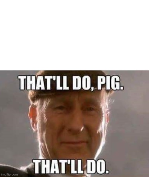 That'll do, pig. That'll do. | image tagged in that'll do pig that'll do | made w/ Imgflip meme maker