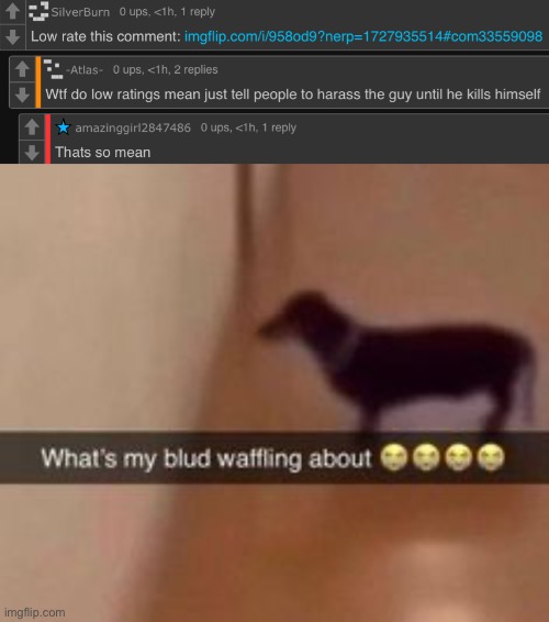 image tagged in what's my blud waffling about | made w/ Imgflip meme maker