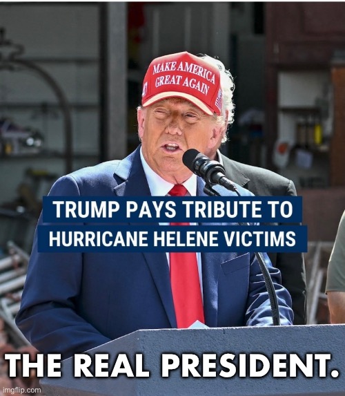 President Trump cares about the American people. | THE REAL PRESIDENT. | image tagged in president trump,donald trump,presidential election,winner,maga,america first | made w/ Imgflip meme maker