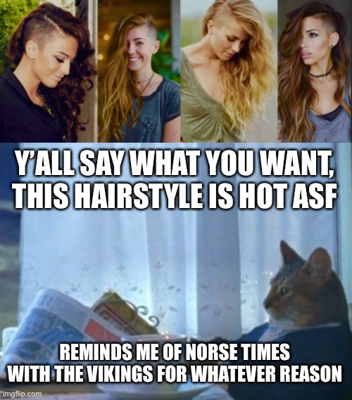 Y’ALL SAY WHAT YOU WANT, THIS HAIRSTYLE IS HOT ASF; REMINDS ME OF NORSE TIMES WITH THE VIKINGS FOR WHATEVER REASON | image tagged in memes,i should buy a boat cat | made w/ Imgflip meme maker