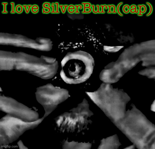 CAAAP | I love SilverBurn(cap) | image tagged in just a normal image of golden gully | made w/ Imgflip meme maker