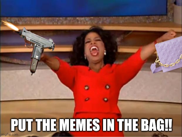 Put the memes in the bag | PUT THE MEMES IN THE BAG‼️ | image tagged in memes,oprah you get a | made w/ Imgflip meme maker