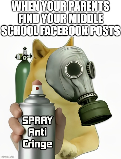 middle school Facebook posts | WHEN YOUR PARENTS FIND YOUR MIDDLE SCHOOL FACEBOOK POSTS | image tagged in memes | made w/ Imgflip meme maker