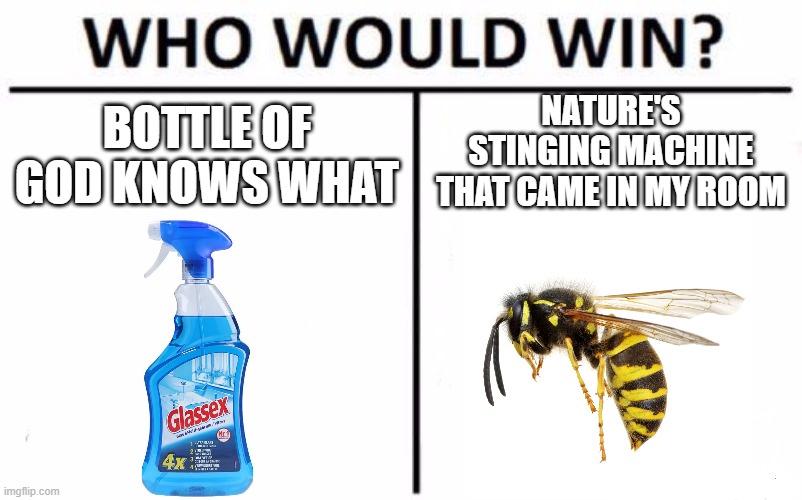 Who Would Win? | NATURE'S STINGING MACHINE THAT CAME IN MY ROOM; BOTTLE OF GOD KNOWS WHAT | image tagged in memes,who would win | made w/ Imgflip meme maker