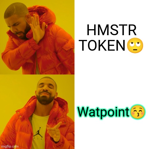 Drake Hotline Bling | HMSTR TOKEN🙄; Watpoint😚 | image tagged in memes,drake hotline bling | made w/ Imgflip meme maker