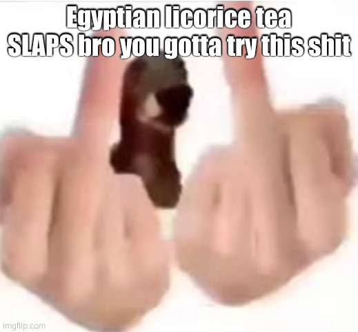 fuck you | Egyptian licorice tea SLAPS bro you gotta try this shit | image tagged in fuck you | made w/ Imgflip meme maker