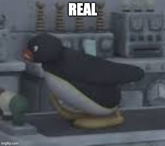 angry pingu naruto running | REAL | image tagged in angry pingu naruto running | made w/ Imgflip meme maker